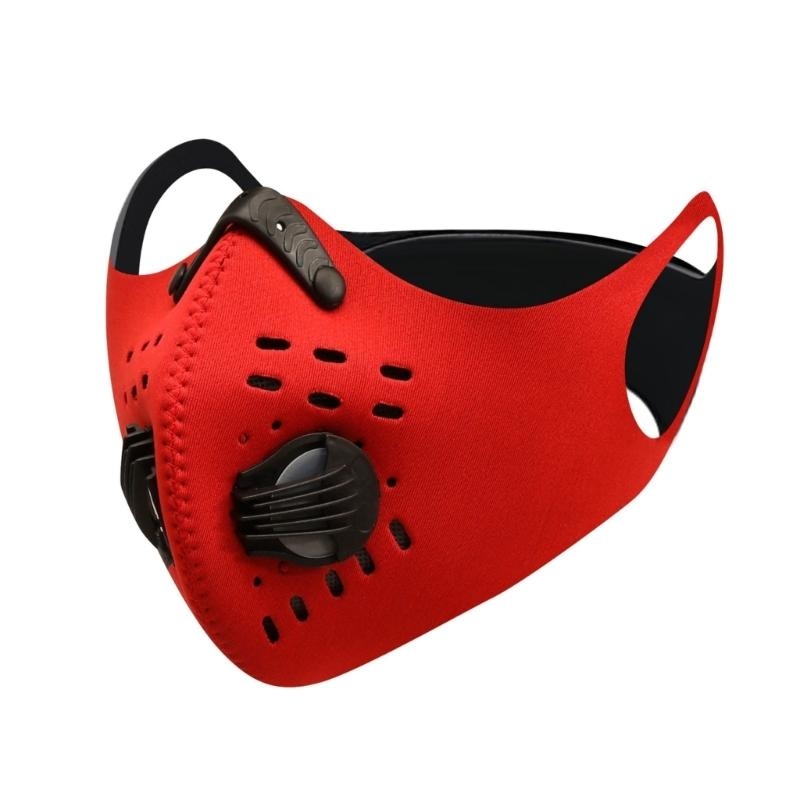  Dust Face Mask with Active Ca - Dust Mask Construction review and price